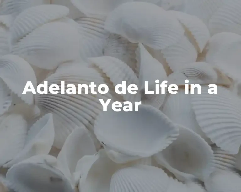 Adelanto de Life in a Year