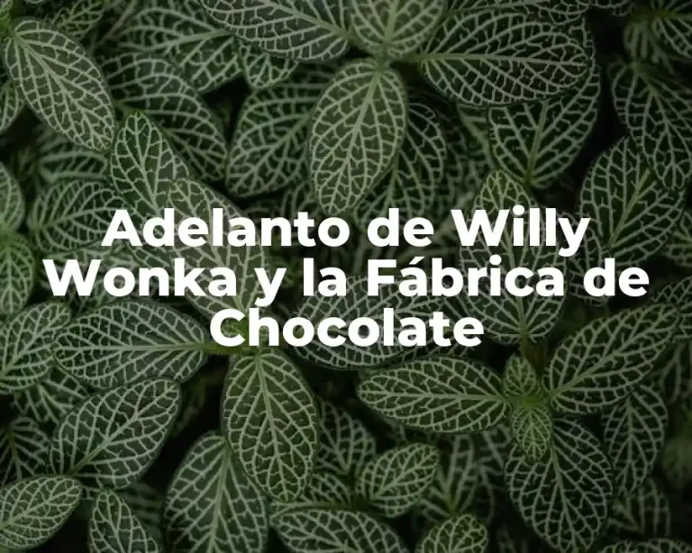 Adelanto de Willy Wonka y la Fábrica de Chocolate