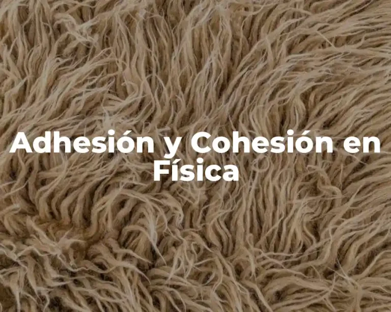 Adhesión y Cohesión en Física