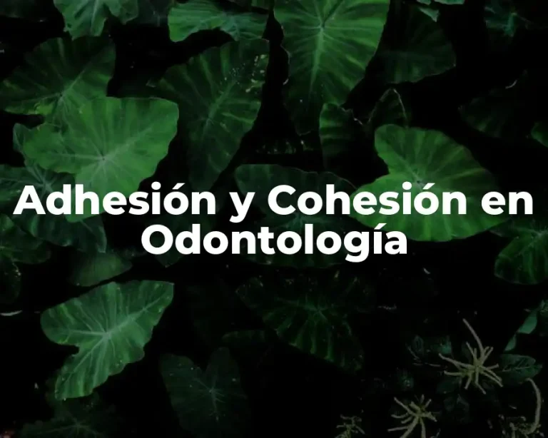Adhesión y Cohesión en Odontología