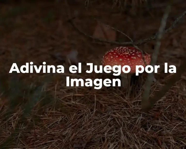 Adivina el Juego por la Imagen