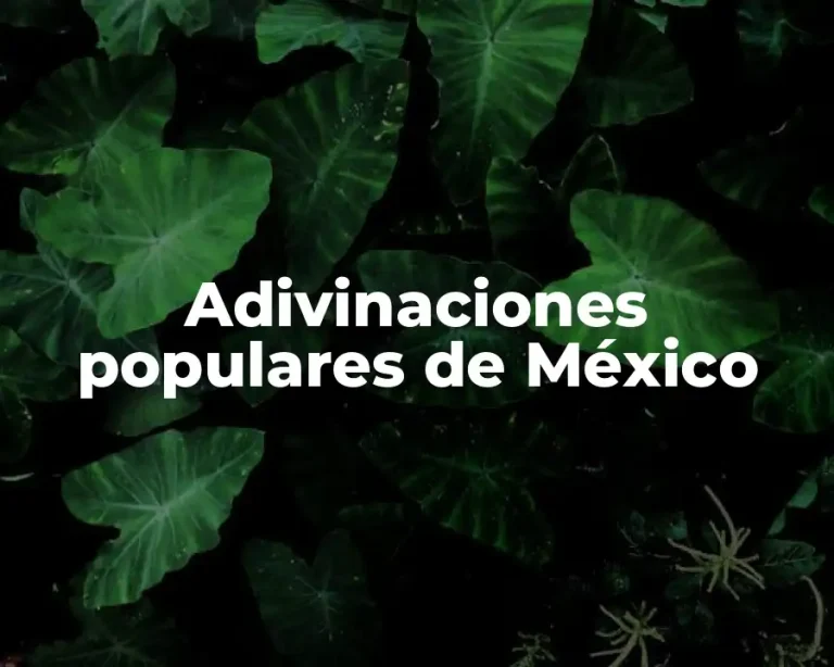 Adivinaciones populares de México