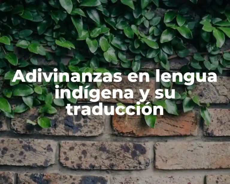 Adivinanzas en lengua indígena y su traducción