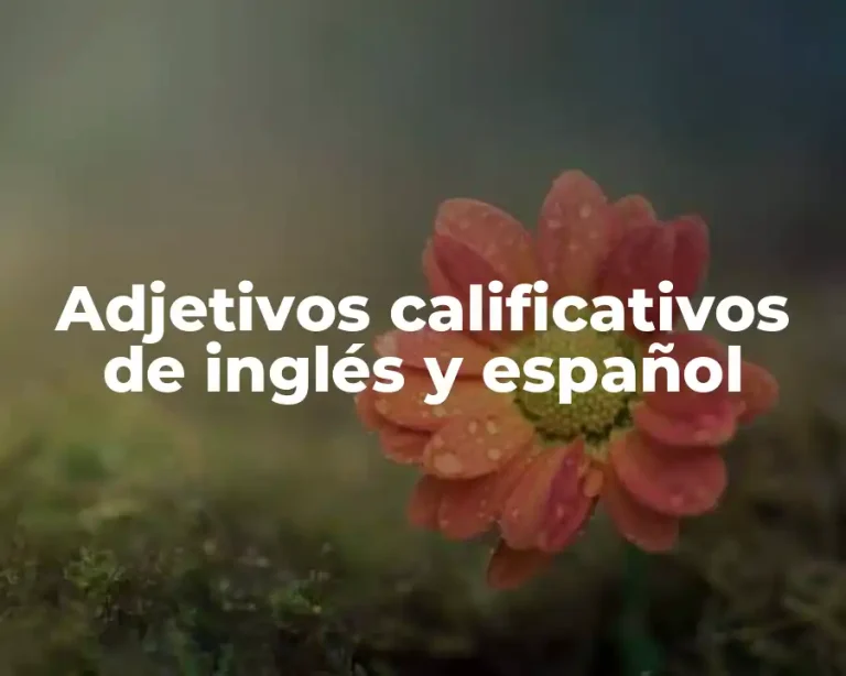 Adjetivos calificativos de inglés y español