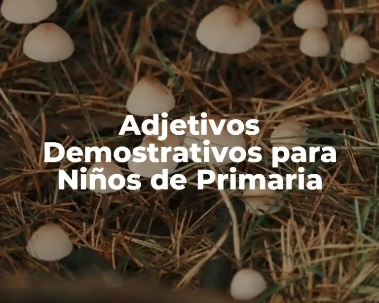 Adjetivos Demostrativos para Niños de Primaria