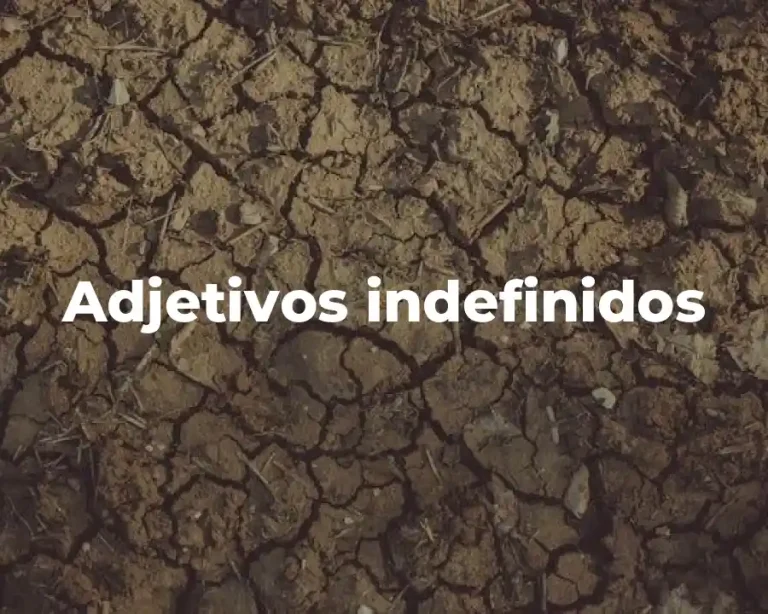 Adjetivos indefinidos