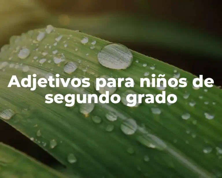 Adjetivos para niños de segundo grado