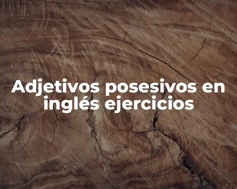 Adjetivos posesivos en inglés ejercicios