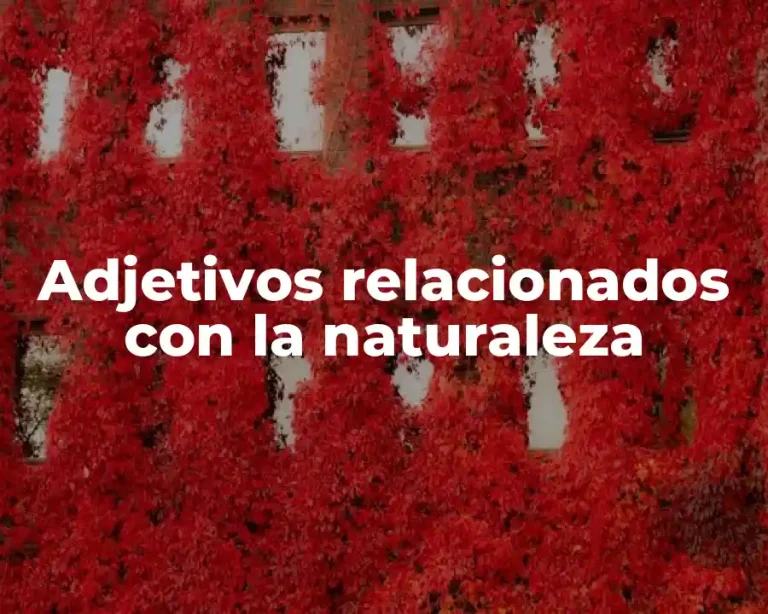 Adjetivos relacionados con la naturaleza