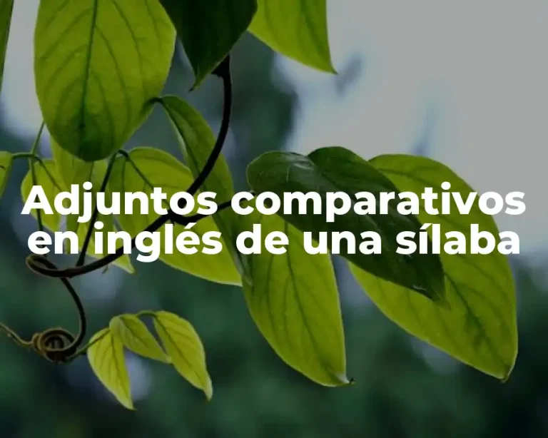 Adjuntos comparativos en inglés de una sílaba