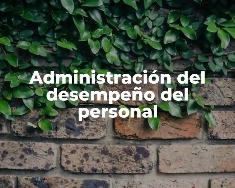 Administración del desempeño del personal