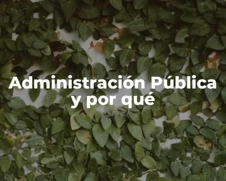Administración Pública y por qué
