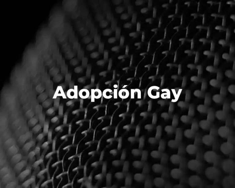 Adopción Gay