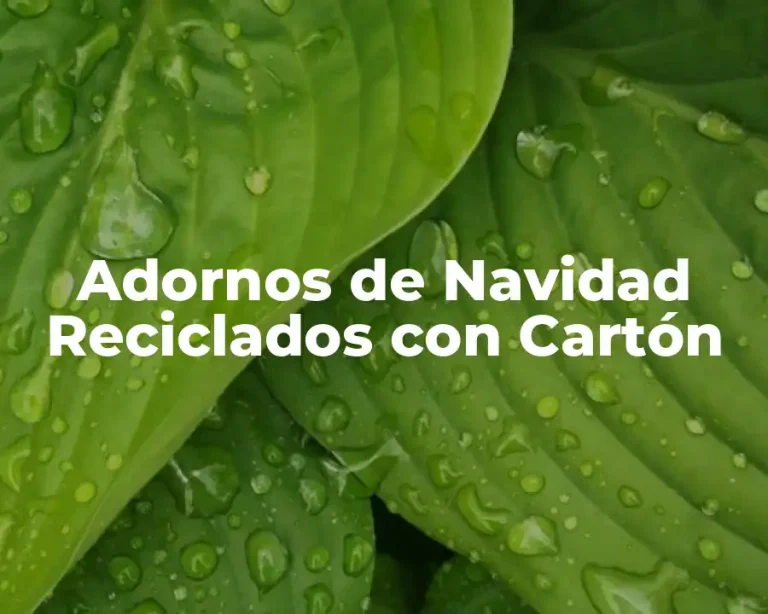 Adornos de Navidad Reciclados con Cartón