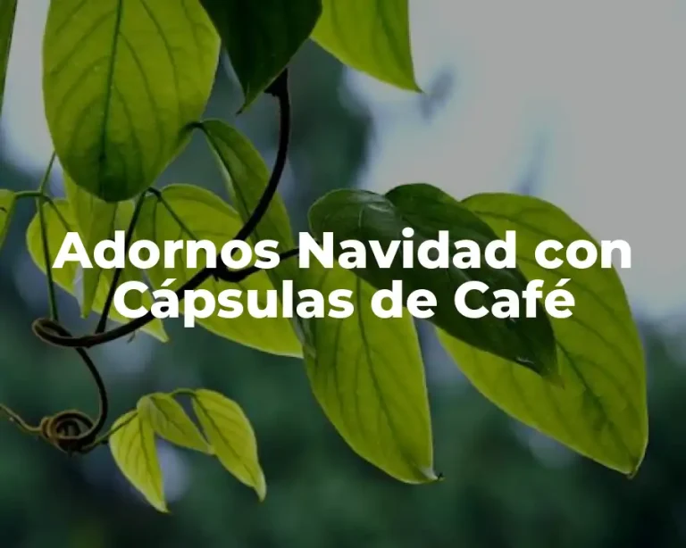 Adornos Navidad con Cápsulas de Café