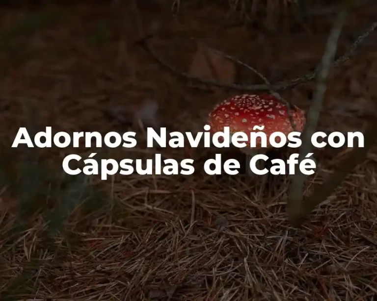 Adornos Navideños con Cápsulas de Café