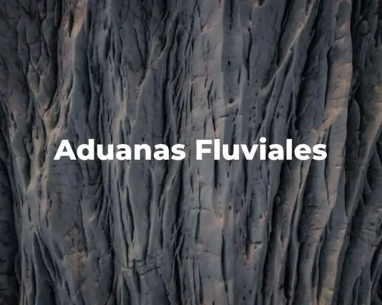 Aduanas Fluviales