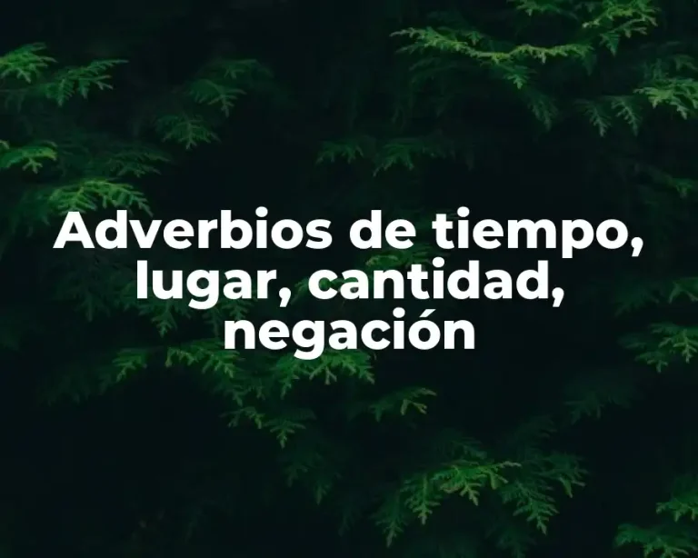 Adverbios de tiempo, lugar, cantidad, negación