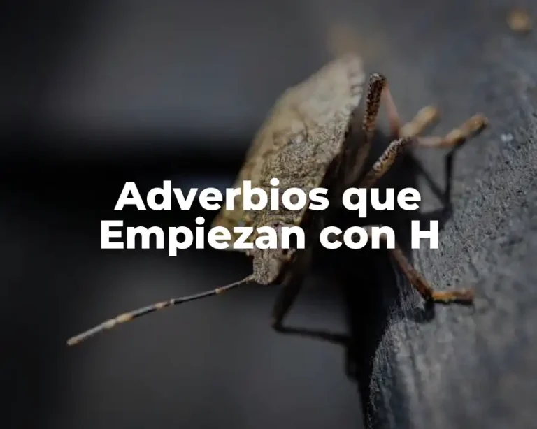 Adverbios que Empiezan con H