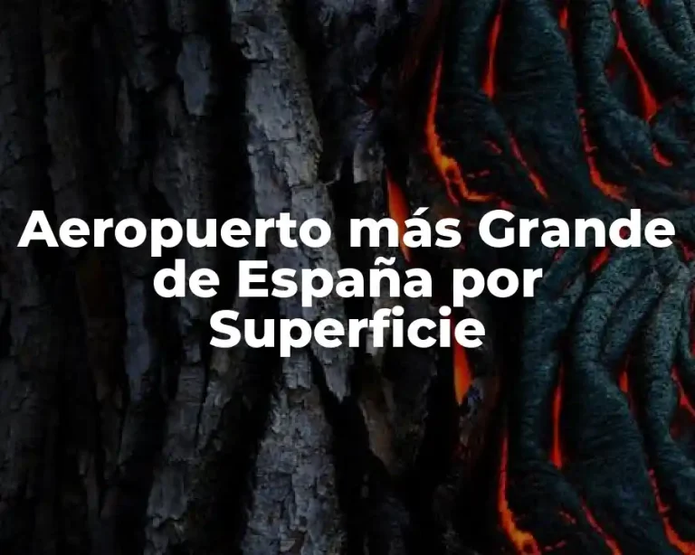 Aeropuerto más Grande de España por Superficie