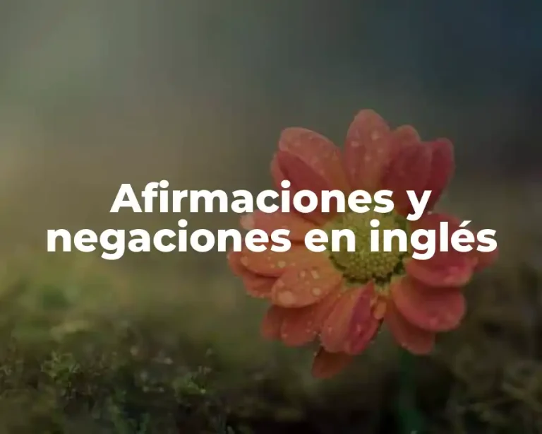 Afirmaciones y negaciones en inglés