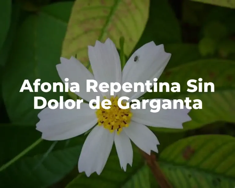Afonia Repentina Sin Dolor de Garganta