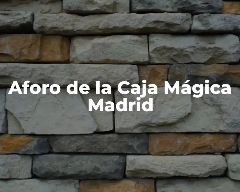Aforo de la Caja Mágica Madrid