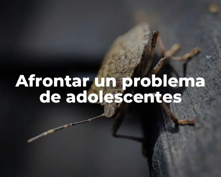 Afrontar un problema de adolescentes