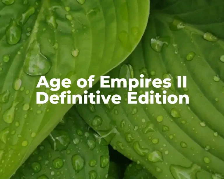 Age of Empires II Definitive Edition