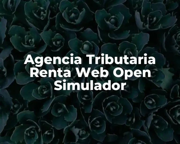 Agencia Tributaria Renta Web Open Simulador