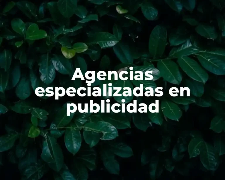 Agencias especializadas en publicidad