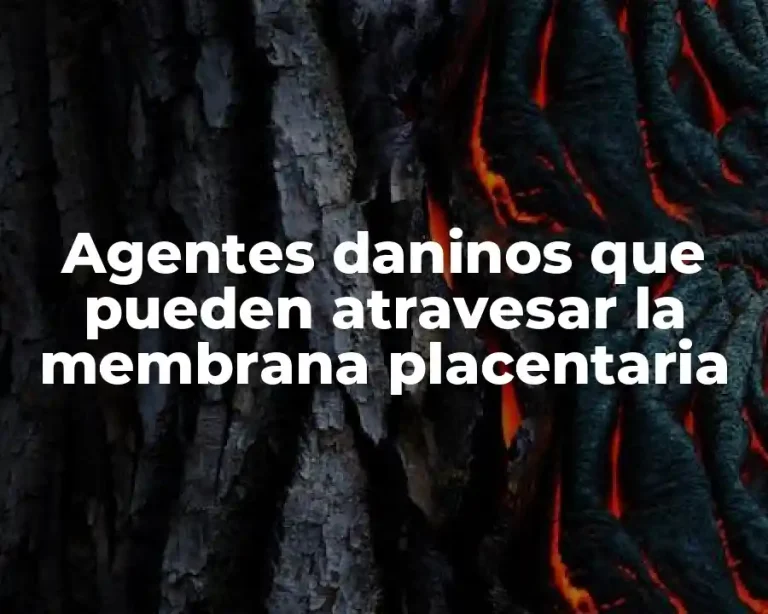 Agentes daninos que pueden atravesar la membrana placentaria