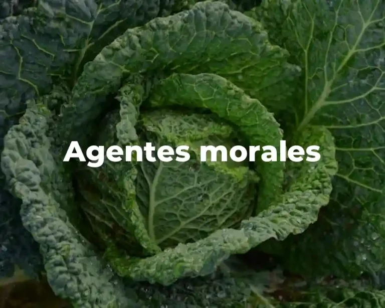 Agentes morales