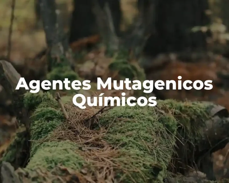 Agentes Mutagenicos Químicos