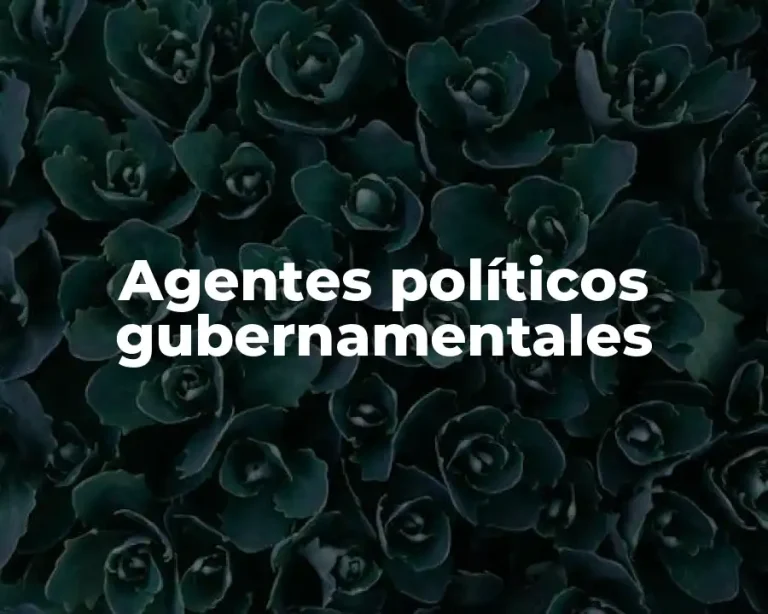 Agentes políticos gubernamentales