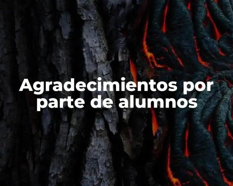 Agradecimientos por parte de alumnos