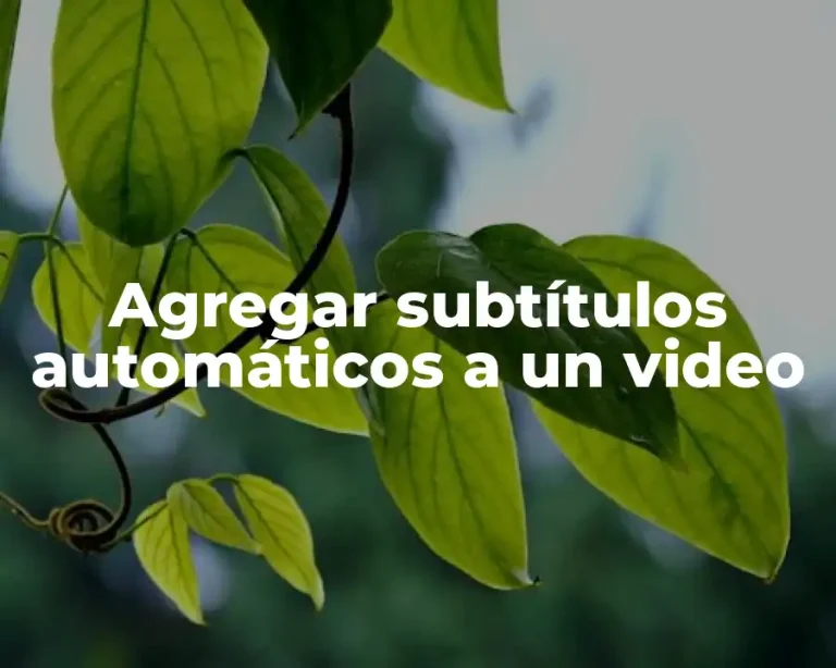 Agregar subtítulos automáticos a un video