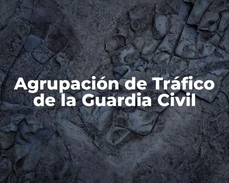 Agrupación de Tráfico de la Guardia Civil