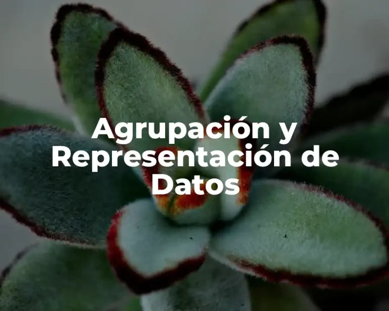 Agrupación y Representación de Datos