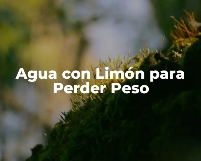 Agua con Limón para Perder Peso