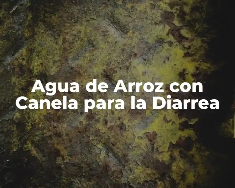 Agua de Arroz con Canela para la Diarrea