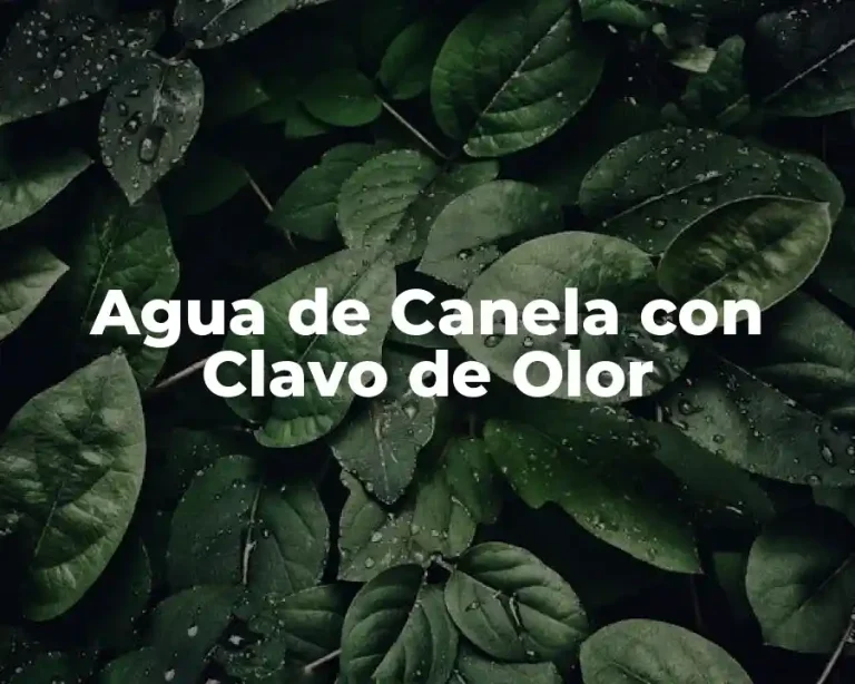 Agua de Canela con Clavo de Olor