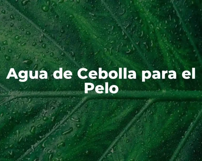 Agua de Cebolla para el Pelo