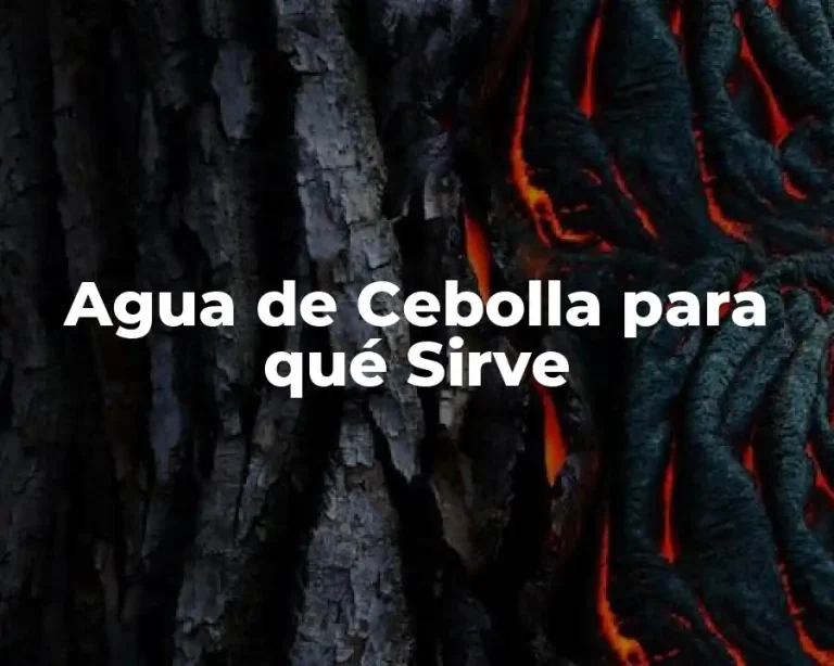Agua de Cebolla para qué Sirve