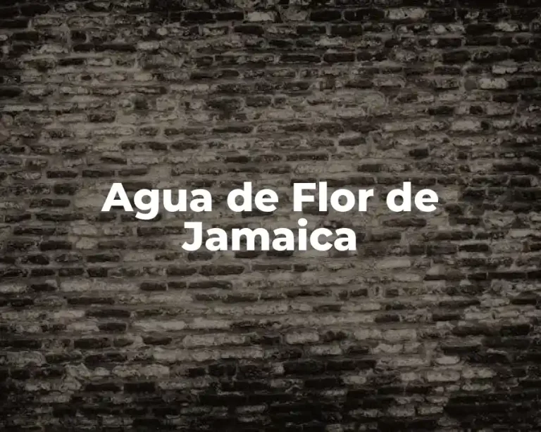 Agua de Flor de Jamaica