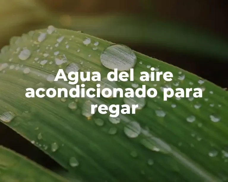 Agua del aire acondicionado para regar