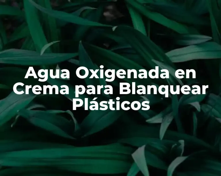 Agua Oxigenada en Crema para Blanquear Plásticos