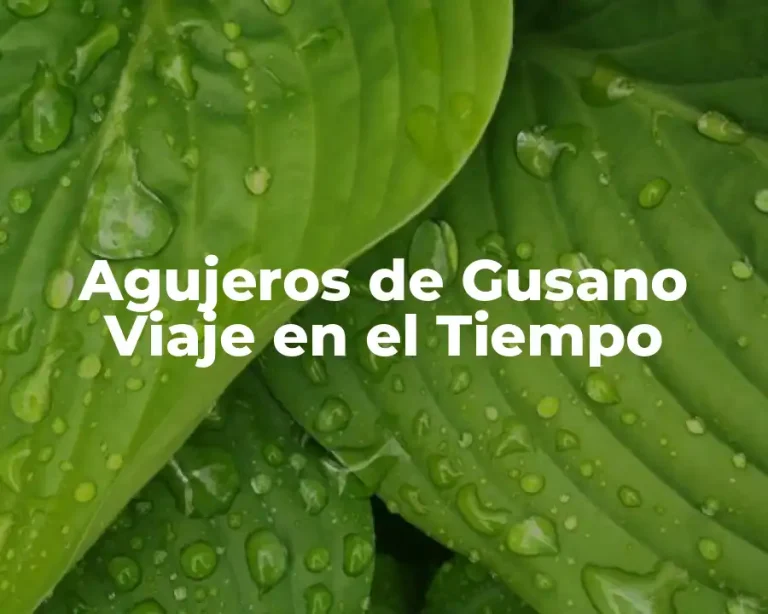Agujeros de Gusano Viaje en el Tiempo