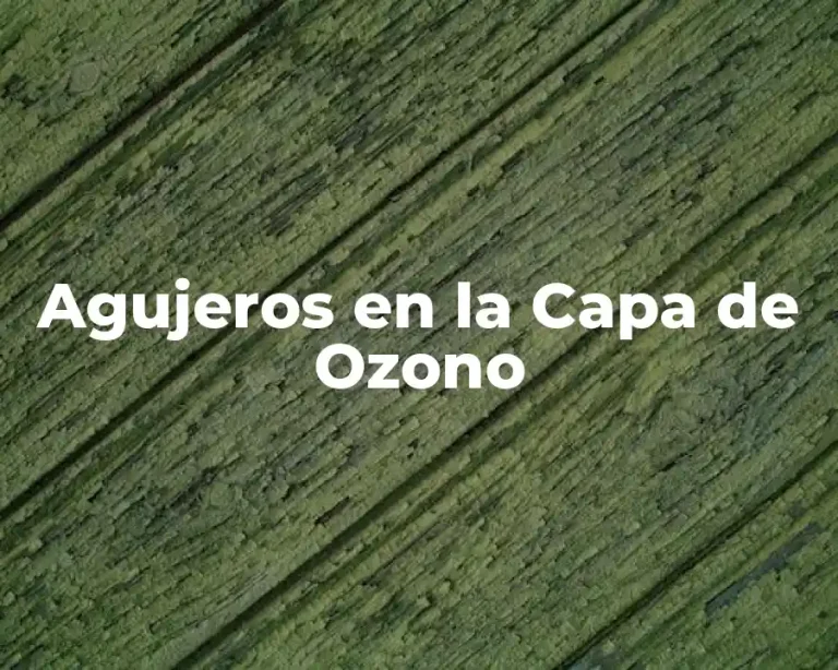 Agujeros en la Capa de Ozono