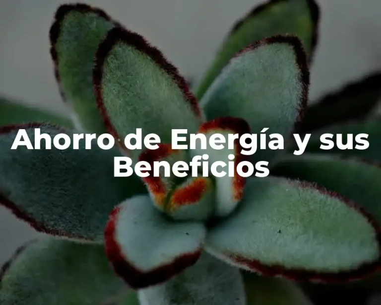 Ahorro de Energía y sus Beneficios